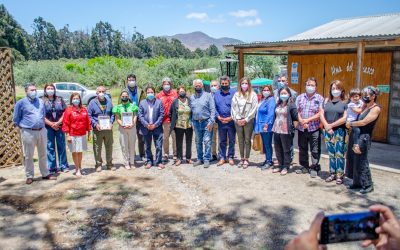 Segunda ceremonia de certificación del aceite de oliva con Denominación de Origen